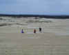 4 End of a run.jpg (39489 bytes)